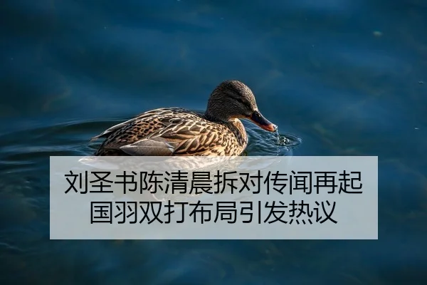 刘圣书陈清晨拆对传闻再起 国羽双打布局引发热议